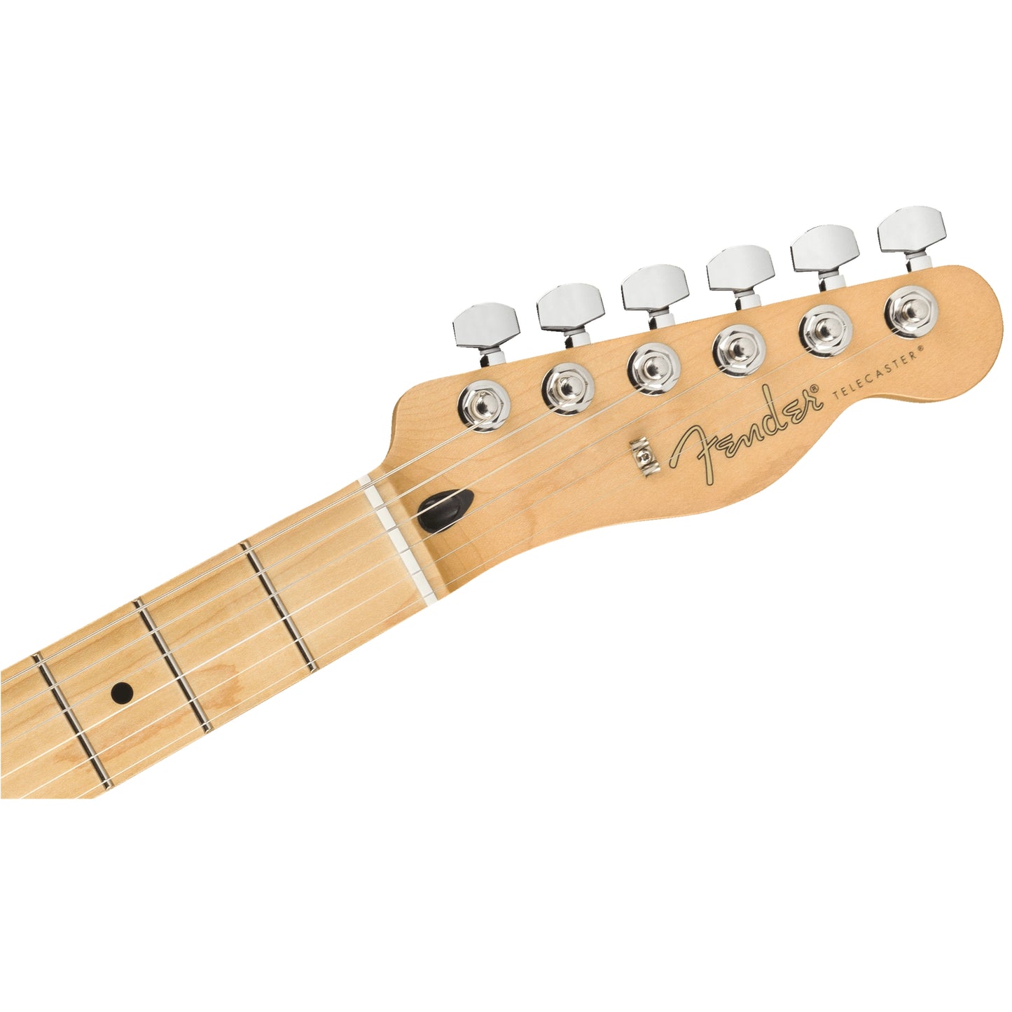 Fender Player Telecaster, Tidepool