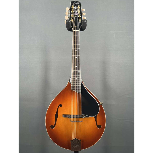 KENTUCKY KM 505 MANDOLIN IN GIG BAG Shop Soiled.