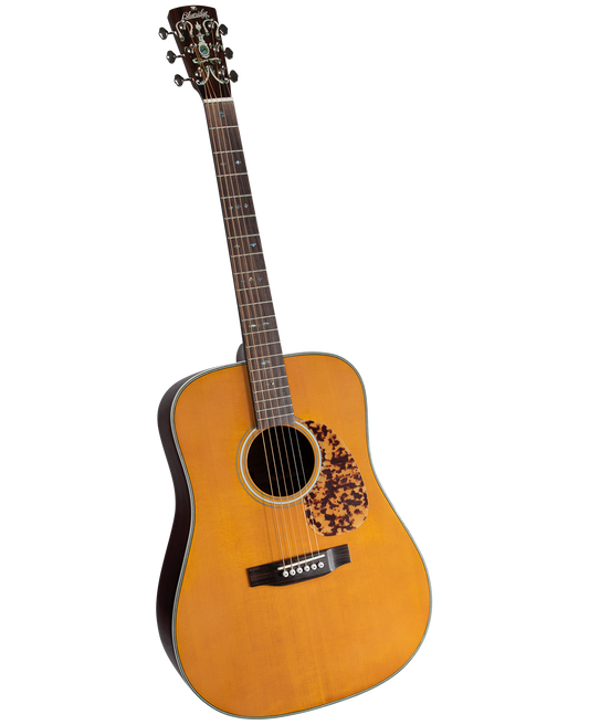 BLUERIDGE BR-160 in GIG BAG