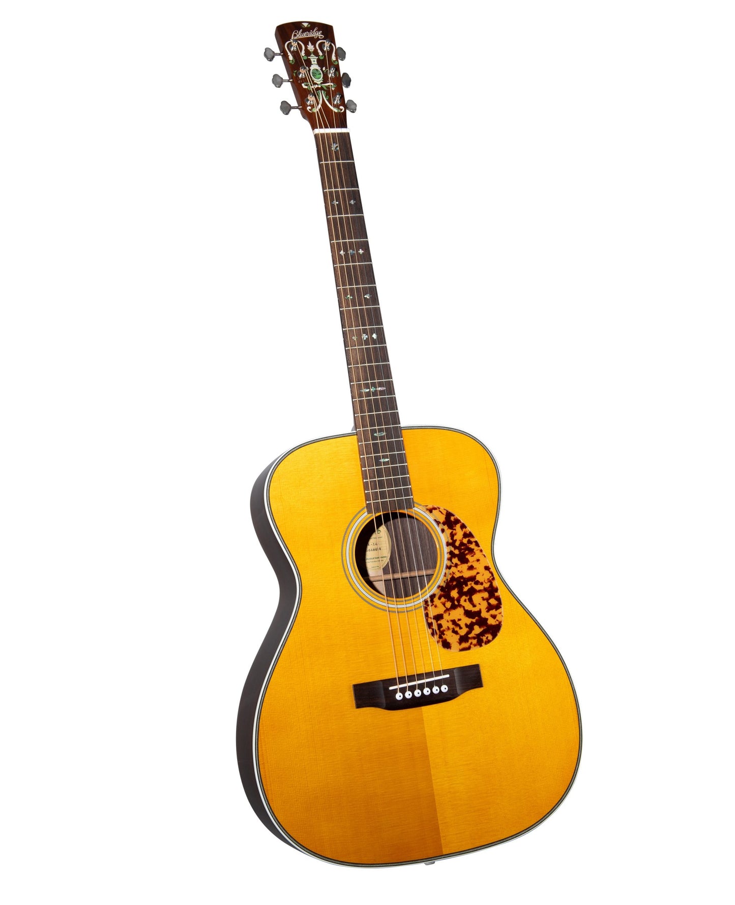 BLUERIDGE BR-163 in GIG BAG