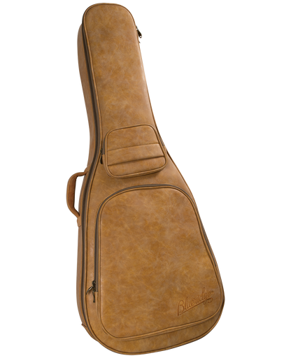 BLUERIDGE BR-163 in GIG BAG