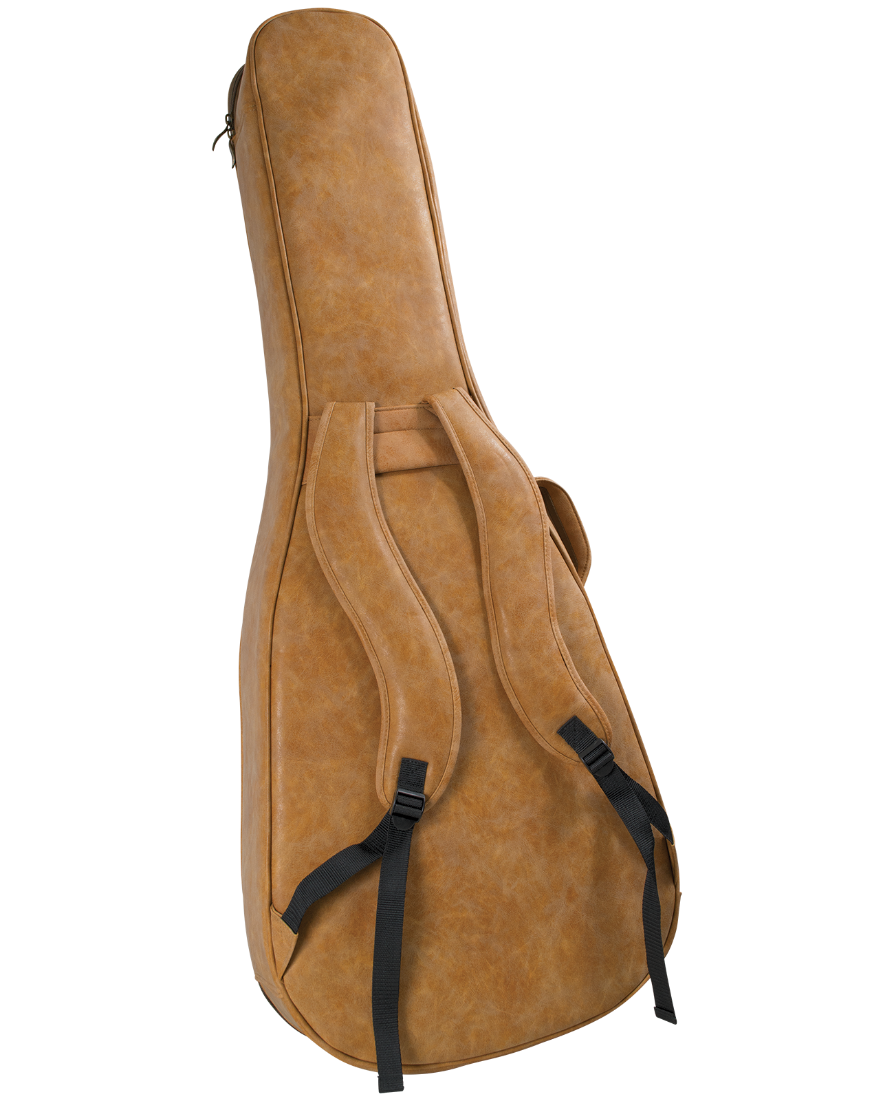 BLUERIDGE BR-163 in GIG BAG