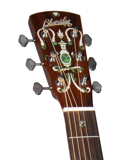 BLUERIDGE BR-163 in GIG BAG