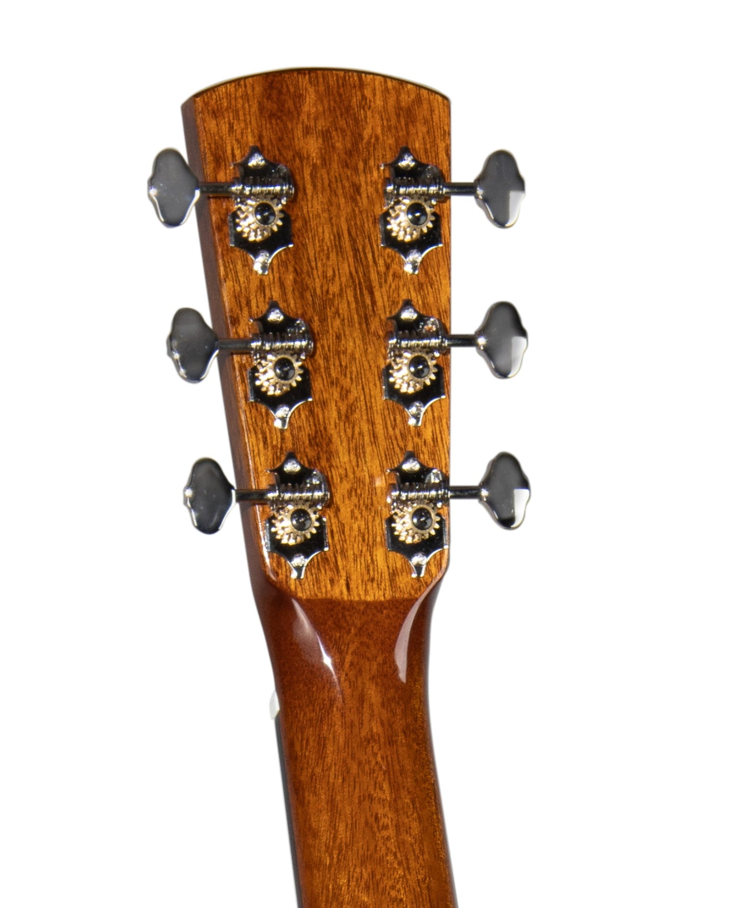 BLUERIDGE BR-163 in GIG BAG