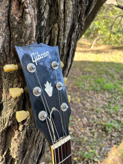 Gibson ES-335TD 1980 in Hard Case, Serial #81400100