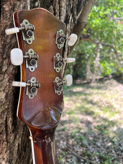 Roscelli Les Paul Copy Made in South Africa with Hard Case