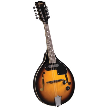 Rover RM-25E A/E Mandolin