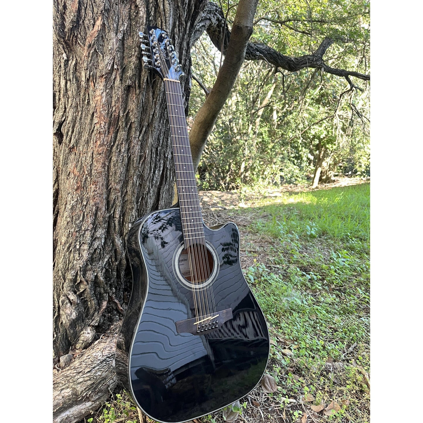 TAKAMINE TGD30CE-12BLK